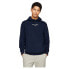 TOMMY JEANS Reg Entry Graphic Ext hoodie
