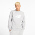 Фото #1 товара NEW BALANCE Sport Core Brushed sweatshirt