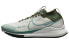 Nike Pegasus Trail 4 Gore-Tex FB2193-001 Trail Running Shoes
