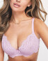 Фото #6 товара Ivory Rose Fuller Bust cotton floral lace bra in lilac