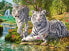 Фото #1 товара Puzzle 500 t Familie der weissen Tiger