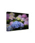 Kurt Shaffer Blooming Hydrangea Canvas Art - 37" x 49"