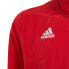 Фото #10 товара Adidas Entrada 22 Presentation Jacket Jr H57540