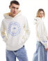 Фото #1 товара The North Face NSE graphic logo hoodie in off white