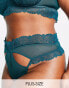 Фото #2 товара Wolf & Whistle Exclusive Curve lace trim mesh high waist cut out thong in teal