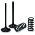 Фото #1 товара PROX Suzuki LT-R 450 28.SES3406-1 Springs intake valve