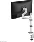 Neomounts Uchwyt biurkowy na monitor 17" - 27" (DS60-425WH1)