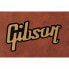 Gibson Flying V Case