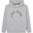 Фото #1 товара PEPE JEANS Nate sweatshirt