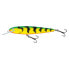 Фото #4 товара SALMO White Fish Limited Edition Deep Runner Floating Jointed Minnow 130 mm