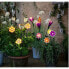 Фото #3 товара Солнечный свет Lumineo Цветок Солнечный 11 x 6 x 49,5 cm Разноцветный