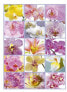 Puzzle Educa - Blumencollage, 1500 Teile