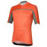 rh+ MTB Trail short sleeve jersey