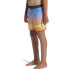 Фото #5 товара QUIKSILVER Fade Vly 14´´ Swimming Shorts