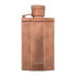 Фото #3 товара Dunhill Desire Bronze 100 ml eau de toilette für Herren