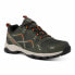 ფოტო #1 პროდუქტის REGATTA Vendeavour Hiking Shoes