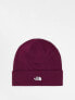 Фото #1 товара The North Face Norm beanie in burgundy