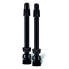 WELDTITE Presta Tubeless Valves 2 Units