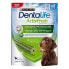 ფოტო #1 პროდუქტის PURINA Dentalife ActiveFresh 142g dog supplement 6 units