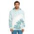 Фото #1 товара QUIKSILVER Natural Td hoodie