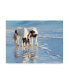 PH Burchett Water Horses I Canvas Art - 15.5" x 21"