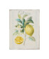 Фото #1 товара Danhui Nai Floursack Lemon IV V2 Canvas Art - 20" x 25"