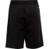 ADIDAS D4S Shorts