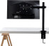 Lindy Uchwyt biurkowy na monitor 17" - 28" (40657)