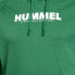 Фото #4 товара Толстовка Hummel hmllegacy Логотипный Капюшон (крупный размер)