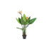 Фото #1 товара Искусственное декоративное растение DKD Home Decor 80 x 80 x 120 см.