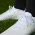 Фото #7 товара Бутсы adidas Predator Accuracy.1 Low Firm Ground Boots (Белые)