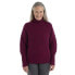 Фото #2 товара ICEBREAKER Seevista Funnel Neck Merino Sweater