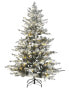 Фото #1 товара Weihnachtsbaum BRISCO