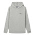 Фото #1 товара PEPE JEANS Tottenham hoodie