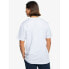 QUIKSILVER Mountain Sarecal short sleeve T-shirt