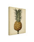 Фото #2 товара George Brookshaw Brookshaw Antique Pineapple II Canvas Art - 36.5" x 48"