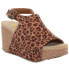 Фото #4 товара Volatile Division Leopard Wedge Womens Brown Casual Sandals PV124-243