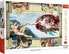 Фото #1 товара Trefl Puzzle Art Collection - Stworzenie Adama 1000 ele.