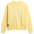 Фото #2 товара SUPERDRY Applique Athletic Loose sweatshirt