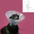 Elizabethan Dog Collar KVP Betsy Transparent (63-78 cm)