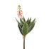 Фото #2 товара Künstliche Pflanze Succulent