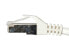 Фото #4 товара Equip Cat.6A Pro S/FTP Patch Cable - 15m - White - 15 m - Cat6a - S/FTP (S-STP) - RJ-45 - RJ-45