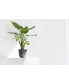 Фото #2 товара Eco pots Oslo Durable Indoor and Outdoor Planter, 6in