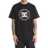 ფოტო #1 პროდუქტის DC SHOES DC Star Pilot short sleeve T-shirt