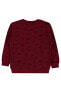 Erkek Çocuk Sweatshirt 2-5 Yaş Bordo