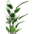 Фото #3 товара Искусственные цветы Emerald Kunstpflanze