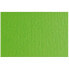 Фото #4 товара Картонная бумага Sadipal LR 200 текстурированная Светло-зеленый 50 x 70 cm (20 штук)