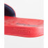 Фото #5 товара SUPERDRY Core Pool Flip Flops