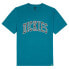 ფოტო #3 პროდუქტის DICKIES Aitkin short sleeve T-shirt