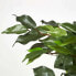 Фото #9 товара Искусственные цветы Homescapes Ficus Benjamini 120 см (зеленый)